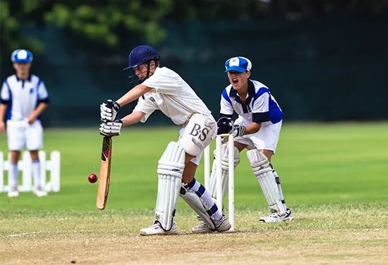 Cricket